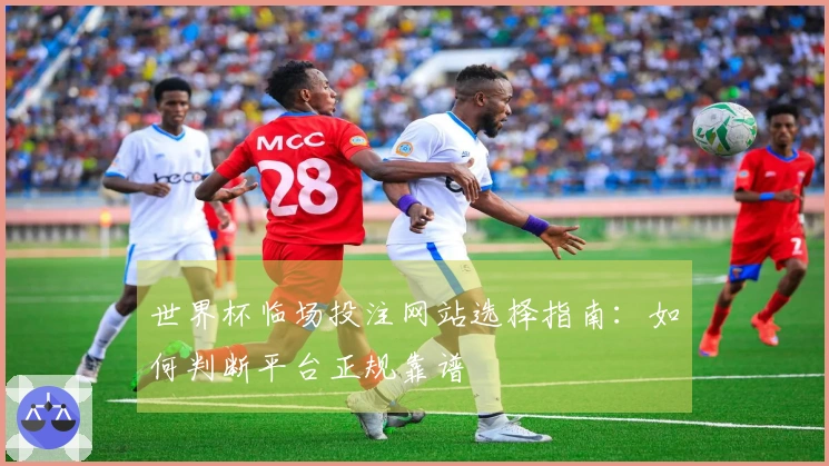 世界杯临场投注网站选择指南：如何判断平台正规靠谱
