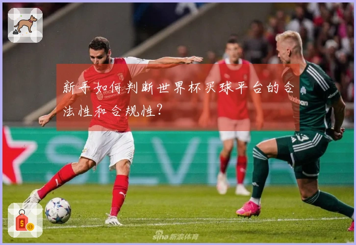 新手如何判断世界杯买球平台的合法性和合规性？