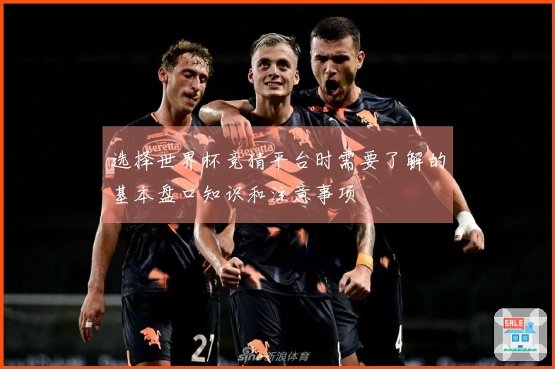 选择世界杯竞猜平台时需要了解的基本盘口知识和注意事项
