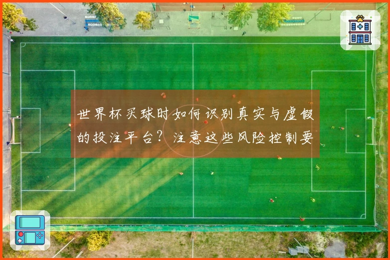 世界杯买球时如何识别真实与虚假的投注平台？注意这些风险控制要点