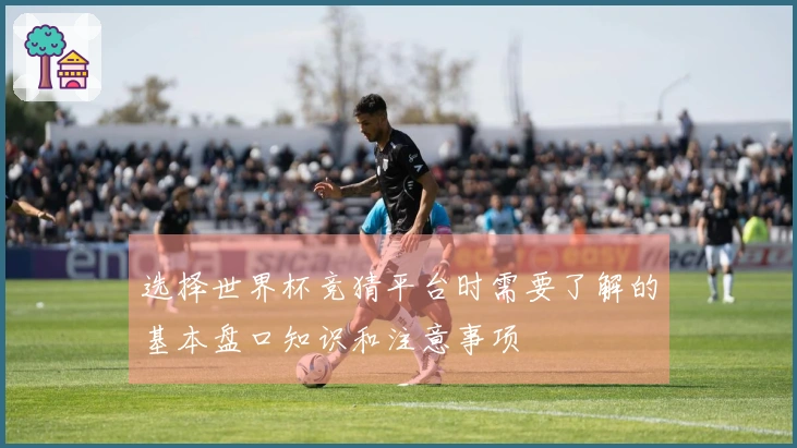 选择世界杯竞猜平台时需要了解的基本盘口知识和注意事项