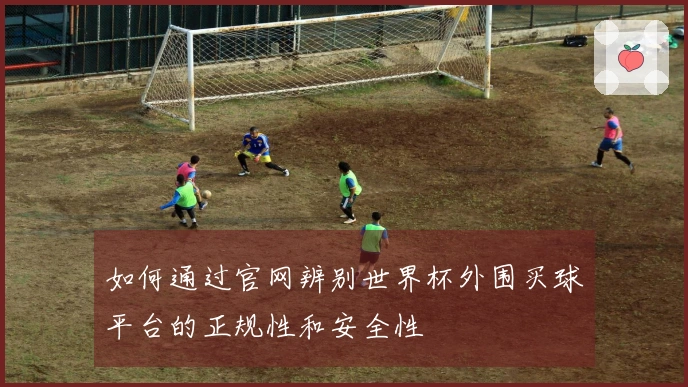 如何通过官网辨别世界杯外围买球平台的正规性和安全性